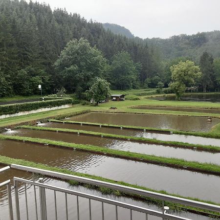 Zimmer Ohne Fruehstueck In Der Forellenzucht 부르겐 외부 사진