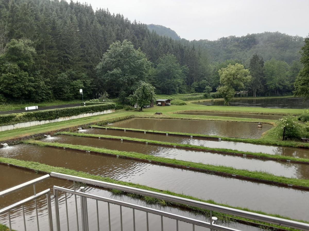 Zimmer Ohne Fruehstueck In Der Forellenzucht 부르겐 외부 사진